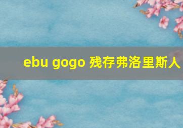 ebu gogo 残存弗洛里斯人